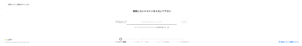 独自ドメインの入力欄にサブドメインを入力した様子。