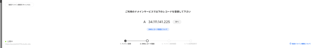 Studioの公開パネルに表示されたコピー対象のAレコード値。